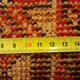 Handmade Persian Shiraz rug 292x220cm