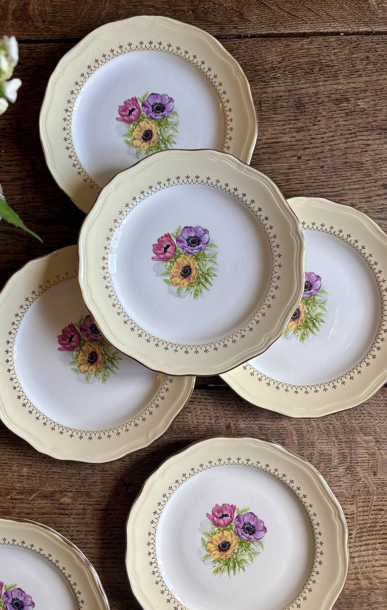 Set of 6 vintage dessert plates model Coopélia - L'Amandinoise