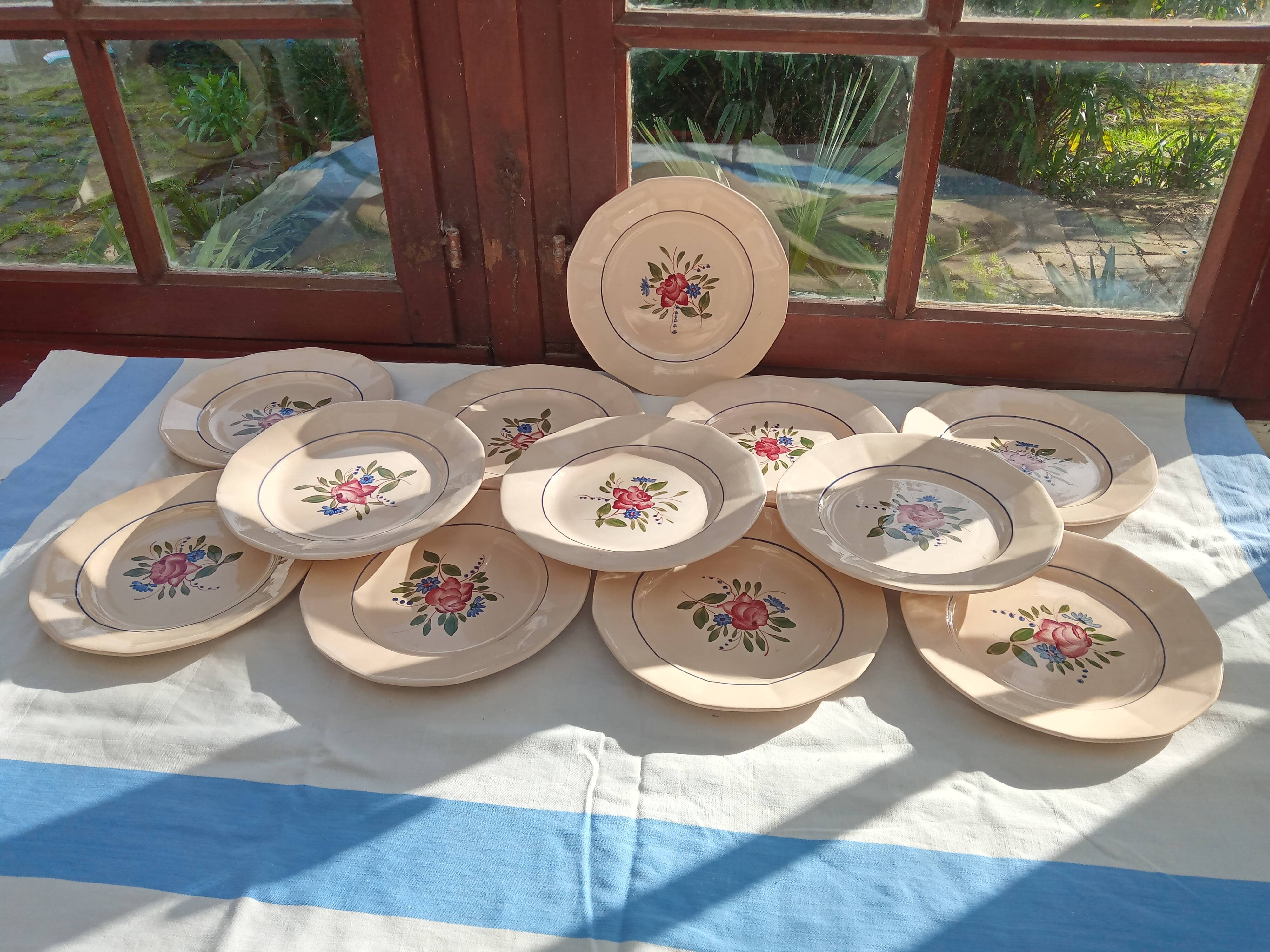 12 flat plates Digoin