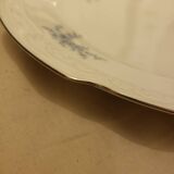 Dish