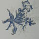 Old wall fountain in enamelled sheet metal decorated with blue flowers on a white background