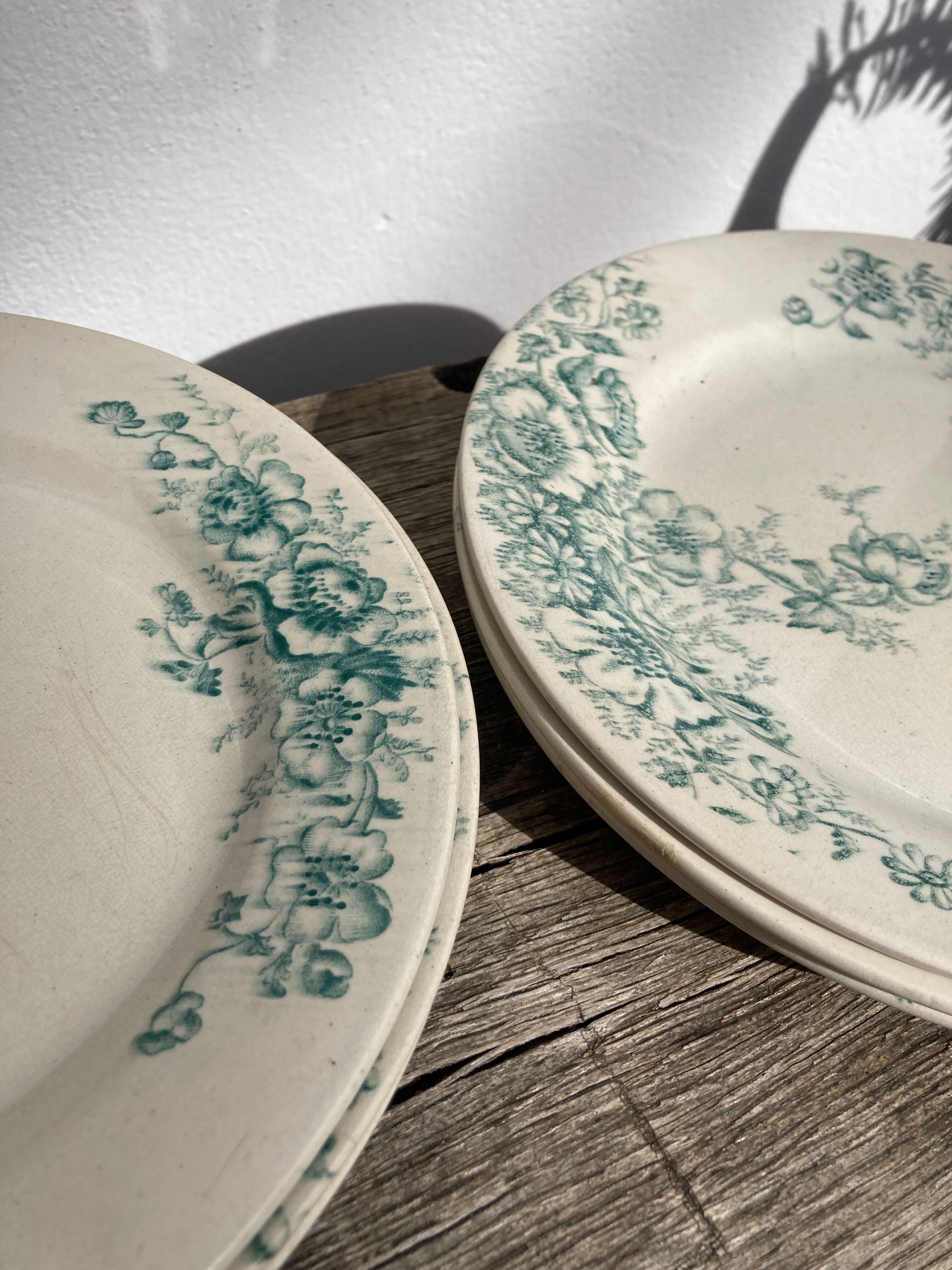 8 Terre de fer plates Anémones Bertrand Bordeaux old in green ceramic decorated with flowers