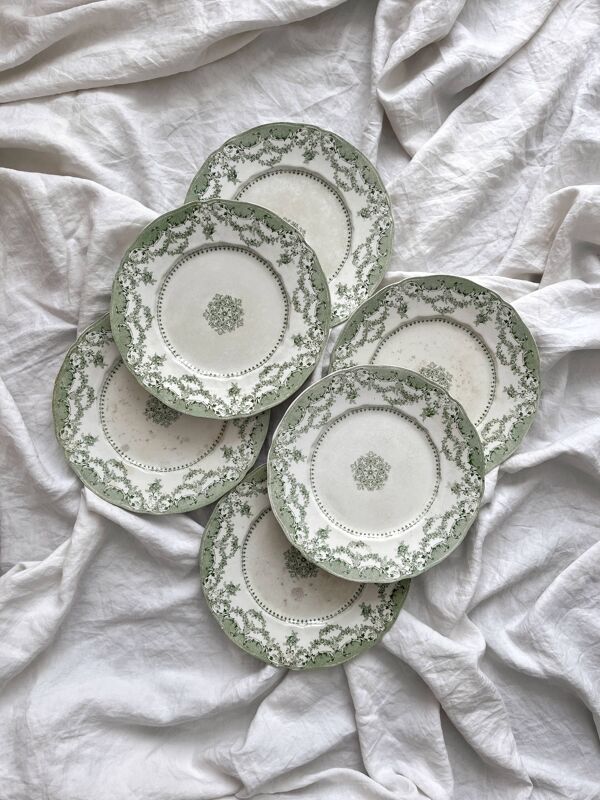 6 assiettes plates en terre de fer anglaise ''Como'' Ridgway Staffordshire