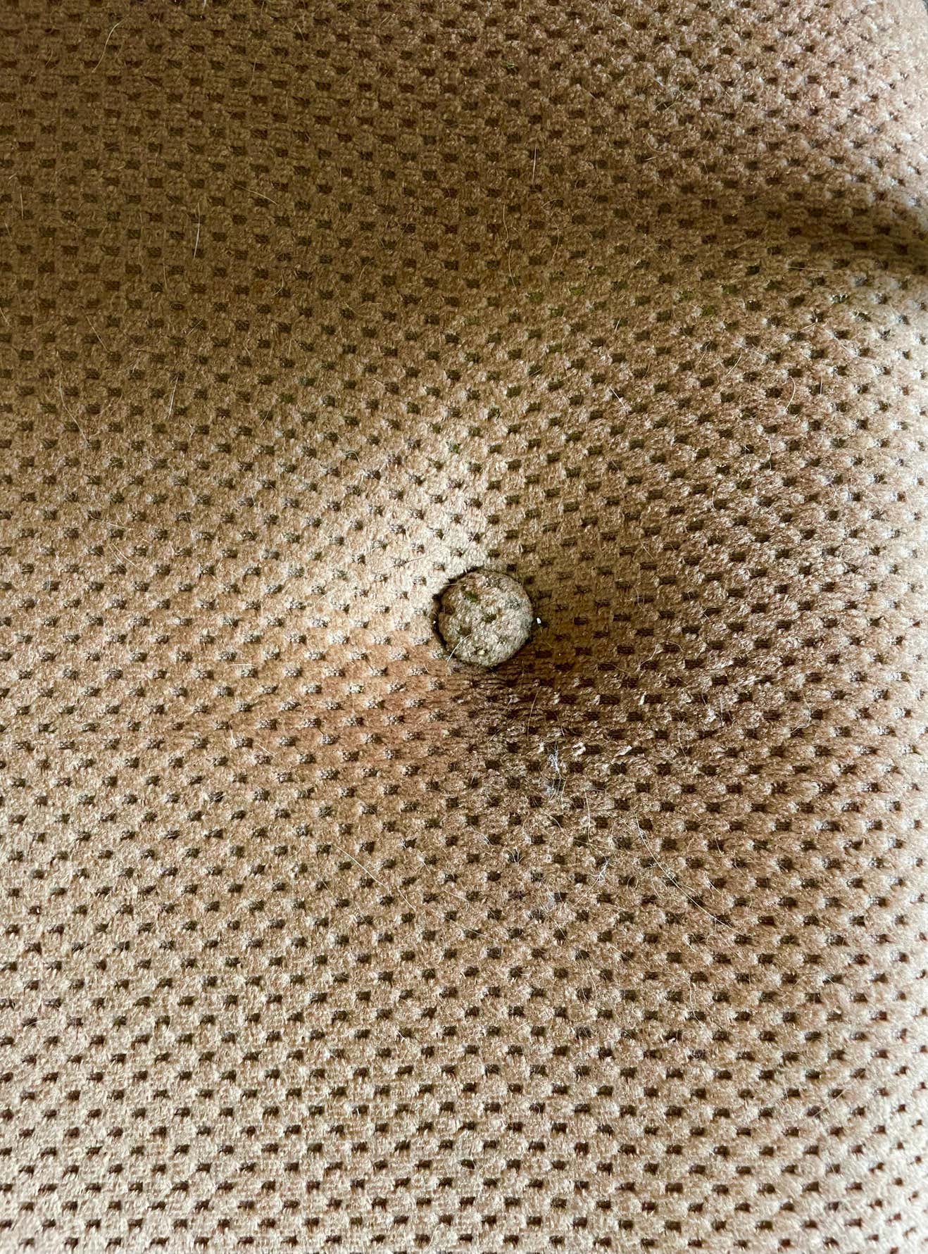 Folding armchair relax vintage wood and velvet with armrests - 70's