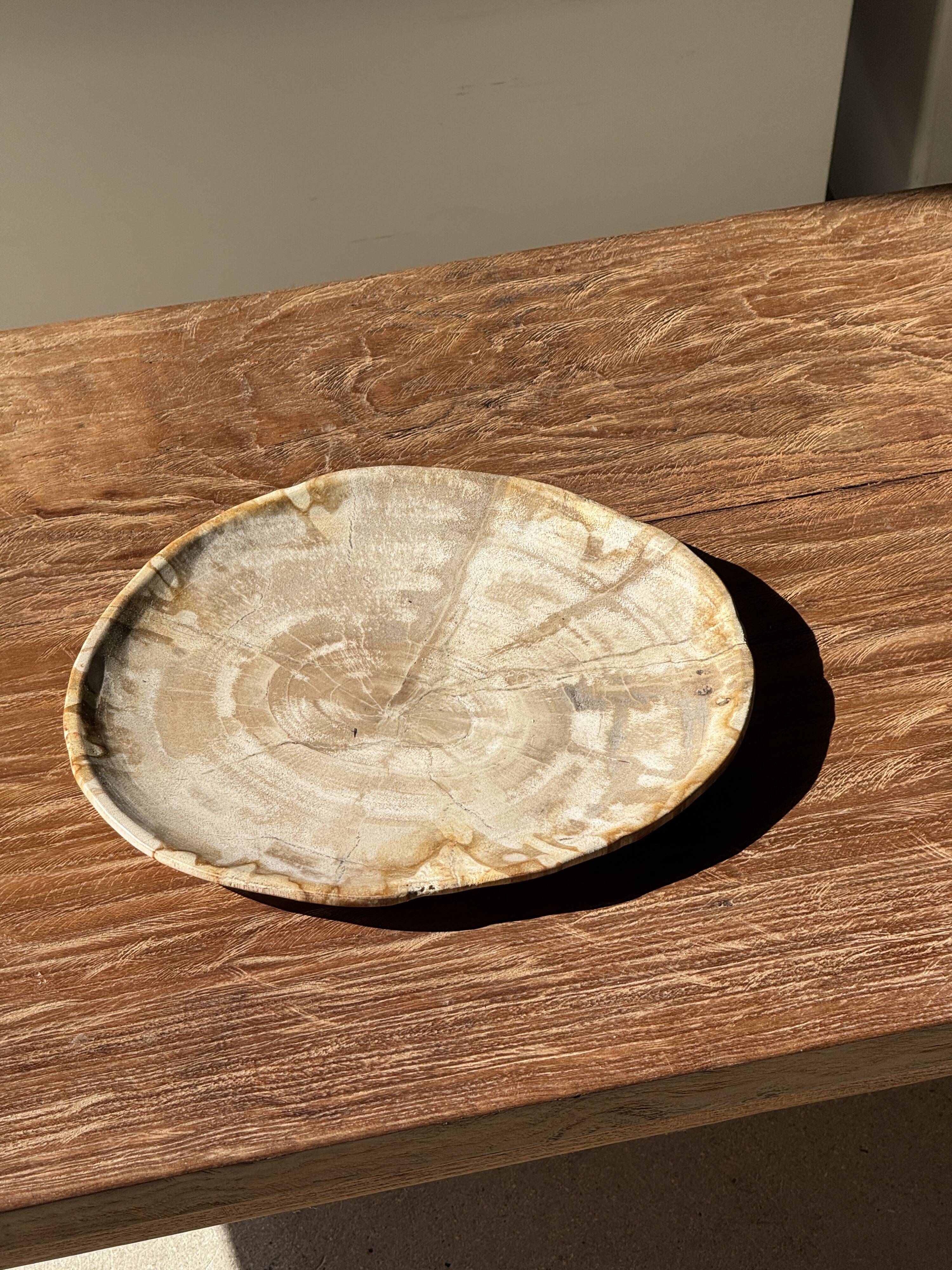 Small oval beige petrified wood dish or tray with speckled edges.