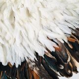 Jujuhat white black 80 cm