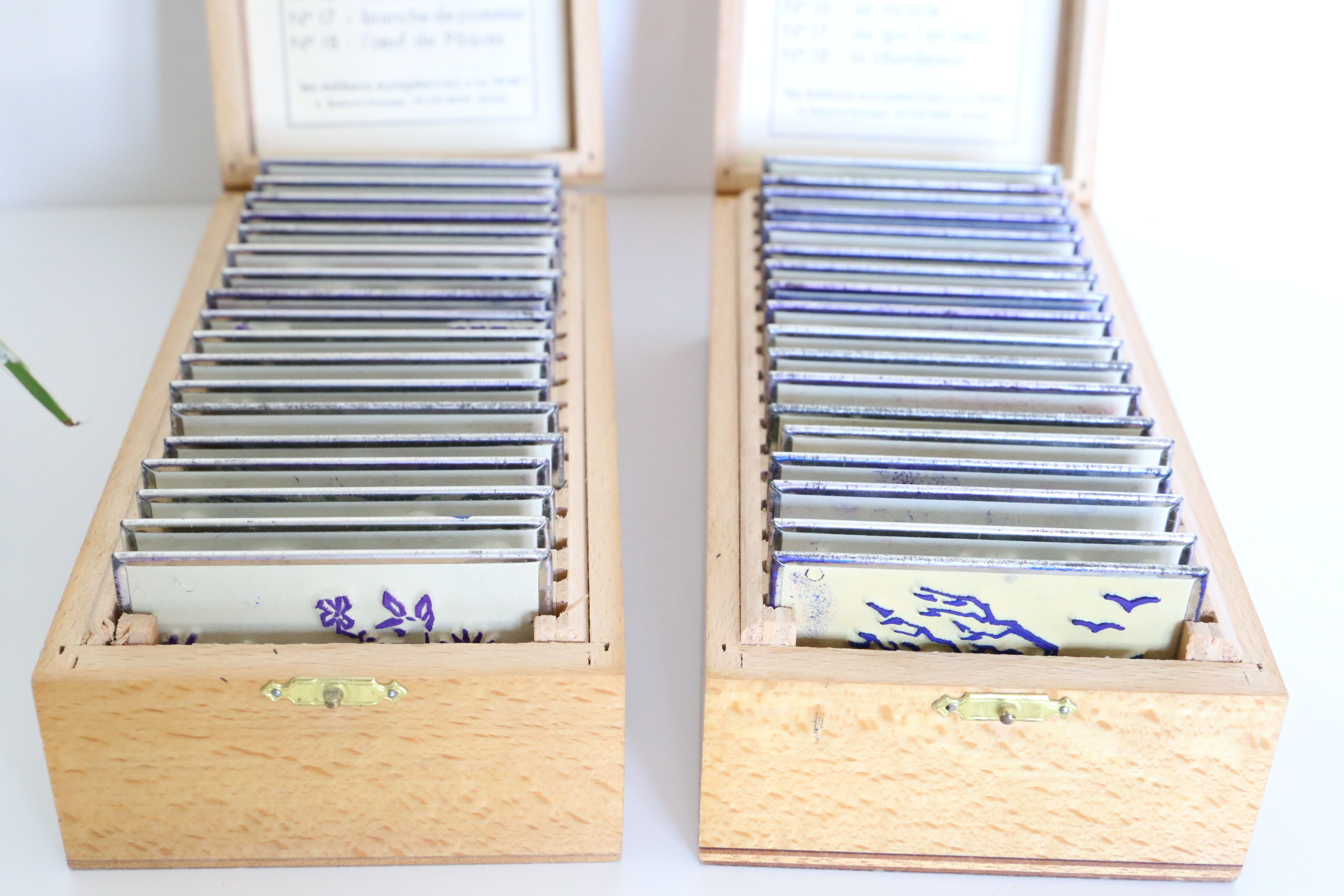 Stamp boxes, stamps, school, theme the4 seasons