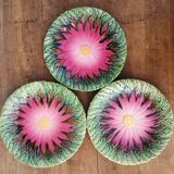 Old bartotine plates