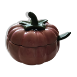 Soup slurry pink pumpkin with its ladle