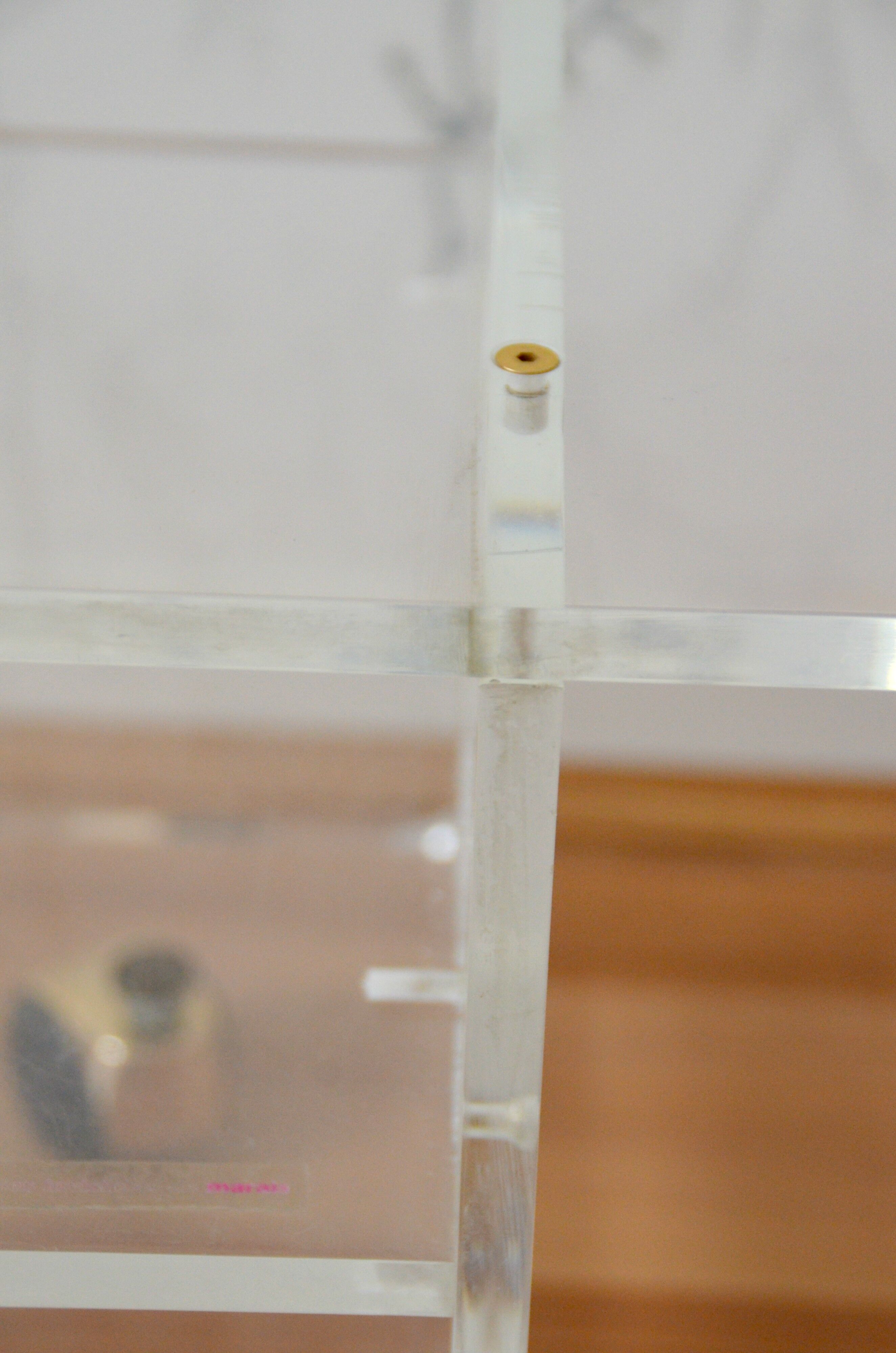 The swamp invisible Plexiglas side table