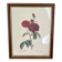 Cadre ancien rose rouge Redouté
