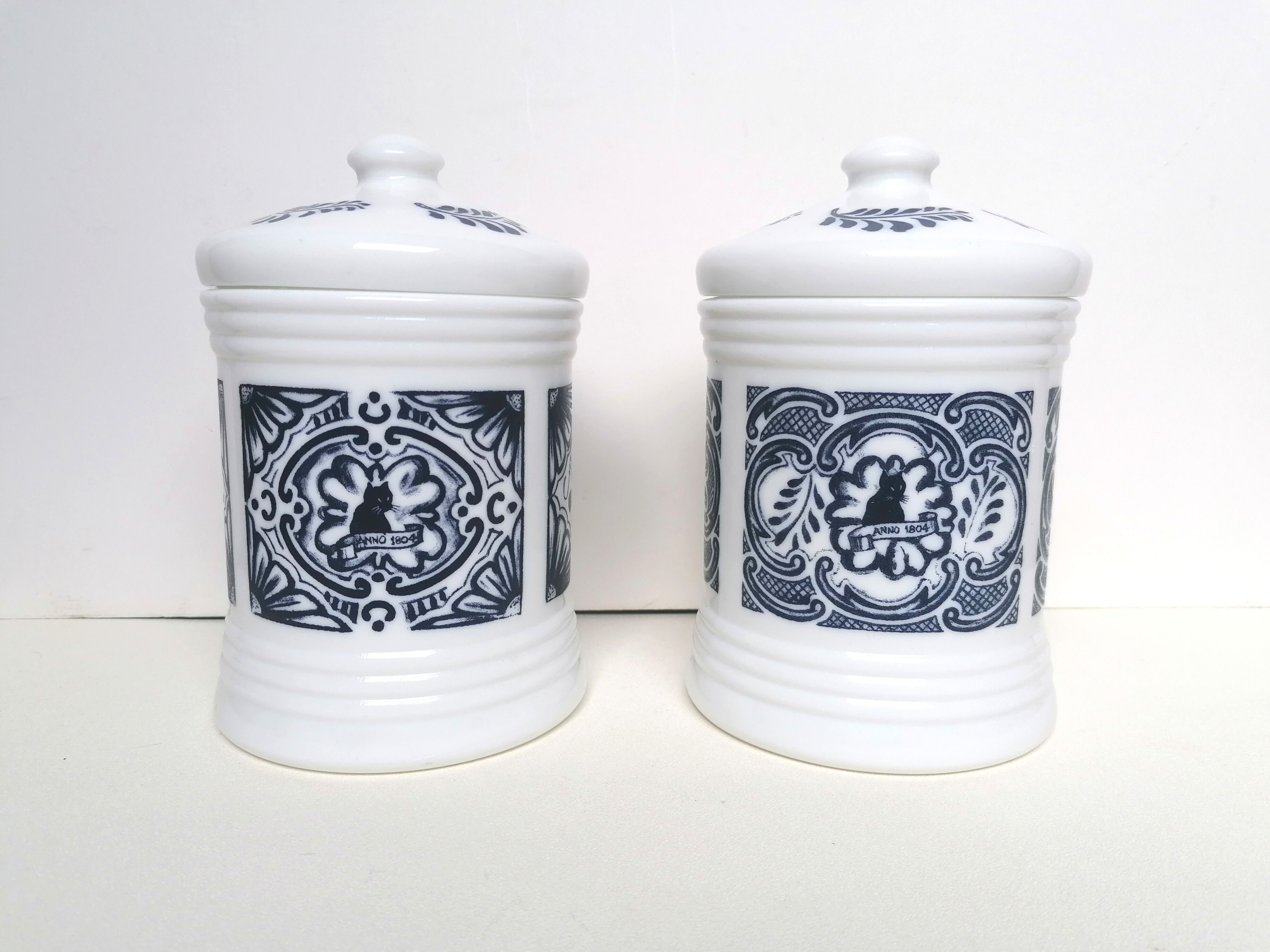 Paire de pots apothicaires opaline blanc et bleu