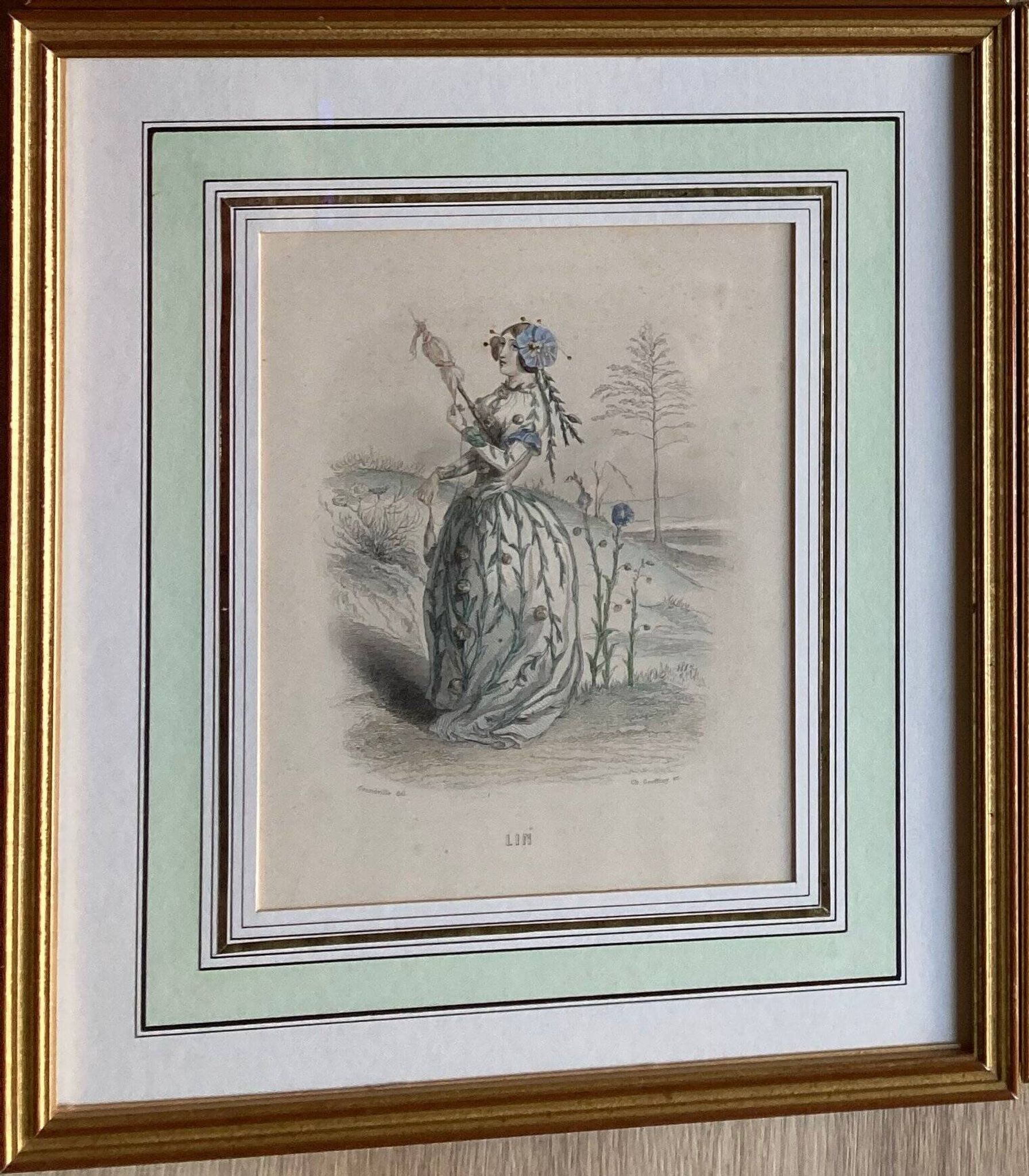 Lot 2 framed engravings "animated flowers" JJ Grandville: Linen and Tulip