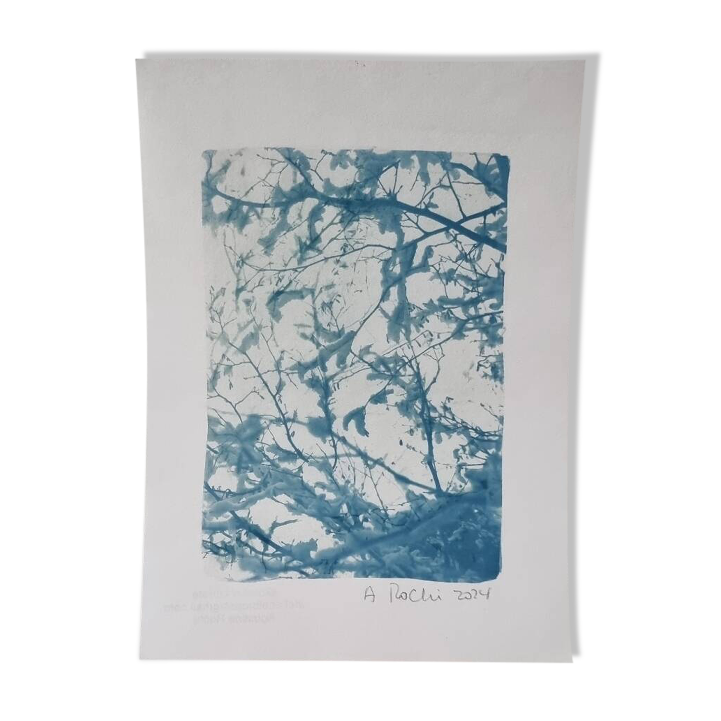 Handmade cyanotype botanical photography collection