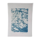 Handmade cyanotype botanical photography collection