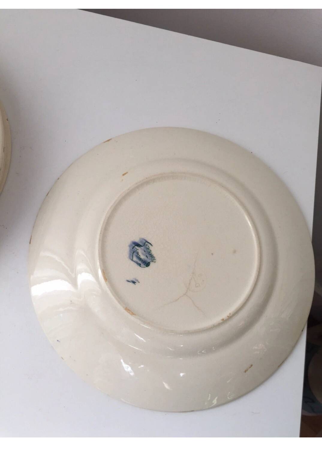 Ensemble de 7 assiettes Terre de Fer Rhodes Longwy XIX