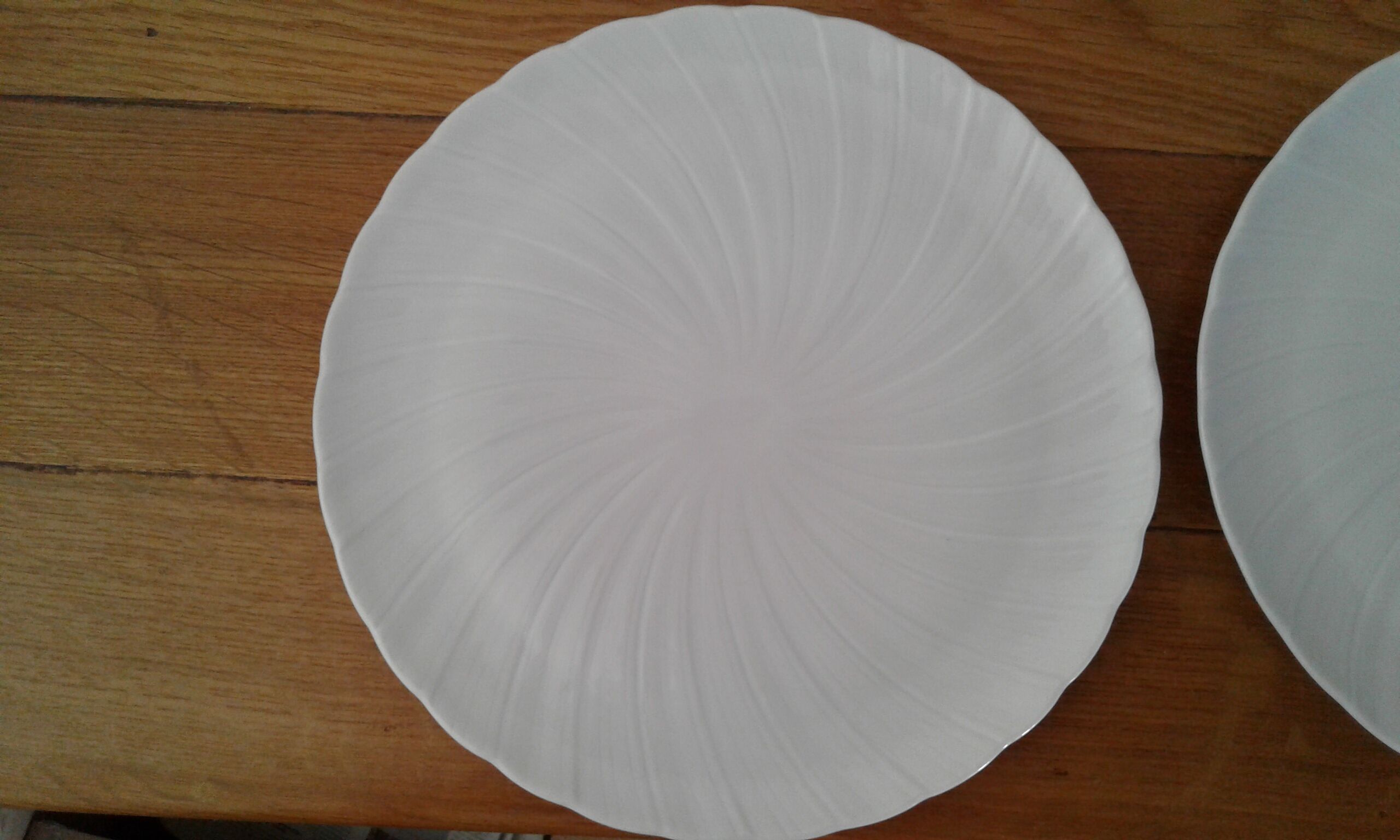 13 Plates . porcelain limoges.  B and Co. 20 cm diameter