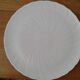 13 Plates . porcelain limoges.  B and Co. 20 cm diameter