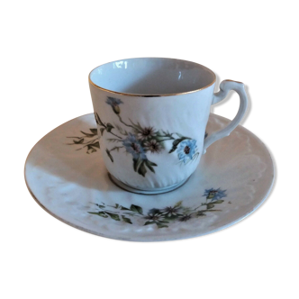 Tasse et sous-tasse en porcelaine décor aux marguerites 1900
