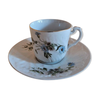 Porcelain cup and sub-cup decorated with daisies 1900