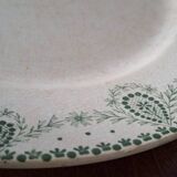Dish