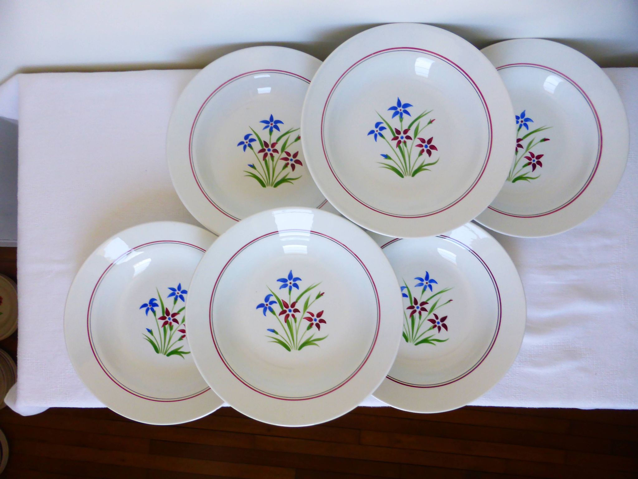 6 assiettes creuses des Salins modèle Lily