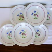 6 assiettes creuses des Salins modèle Lily