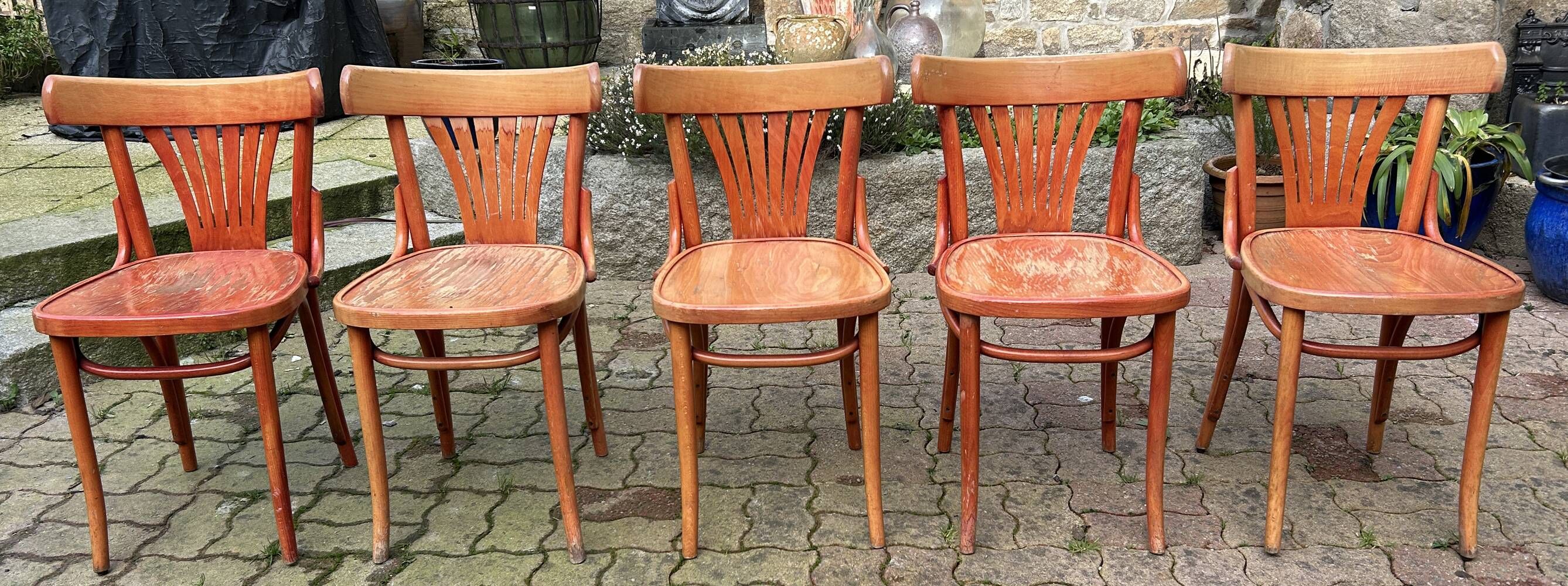 Set of 5 brasserie, bistro chairs, in their original condition, vintage, 1960s