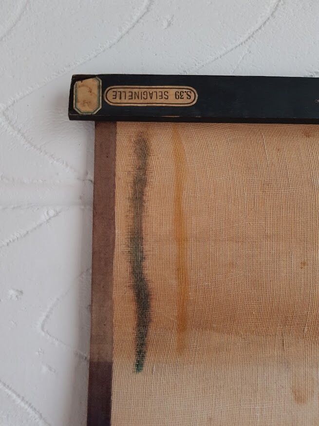 Vintage school poster by Paul Sougy - Selaginella, 1959