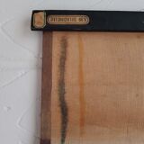 Vintage school poster by Paul Sougy - Selaginella, 1959