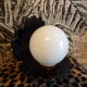 Shell lamp 1980