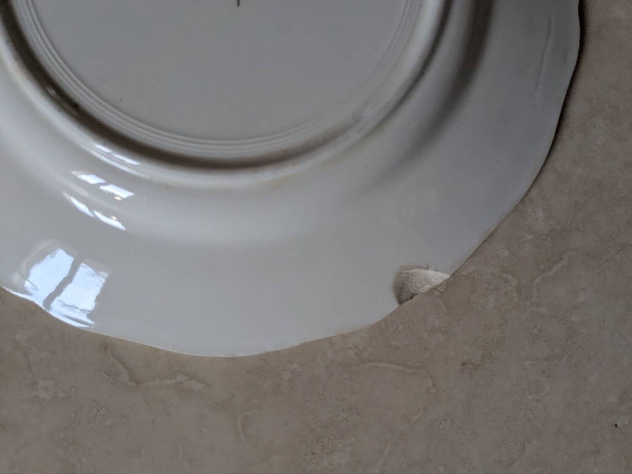 Deux assiettes plates Sarreguemines Agreste