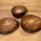 Coconut bowls