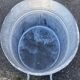 Vintage zinc basin 60 liters