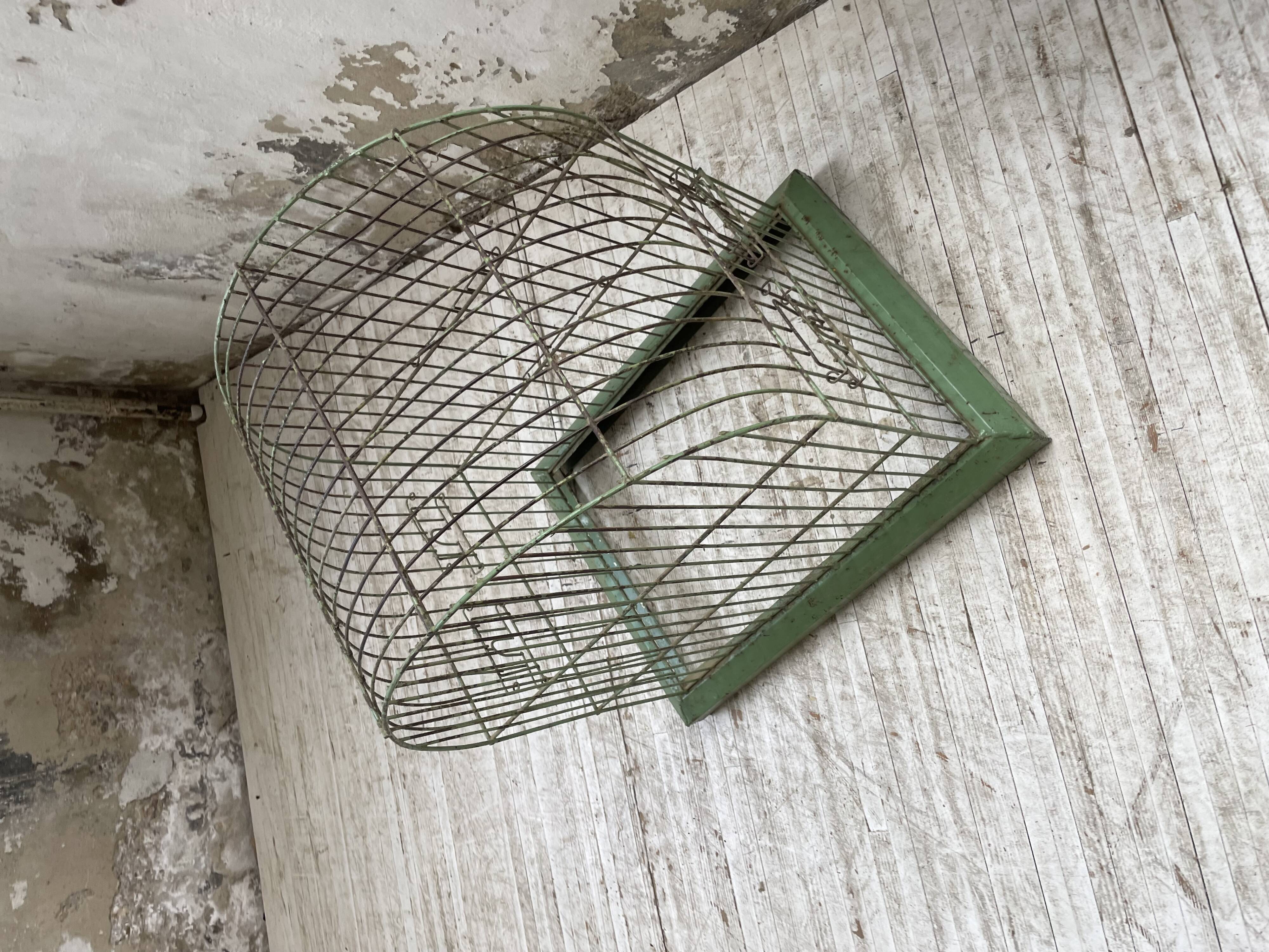 Decorative metal cage