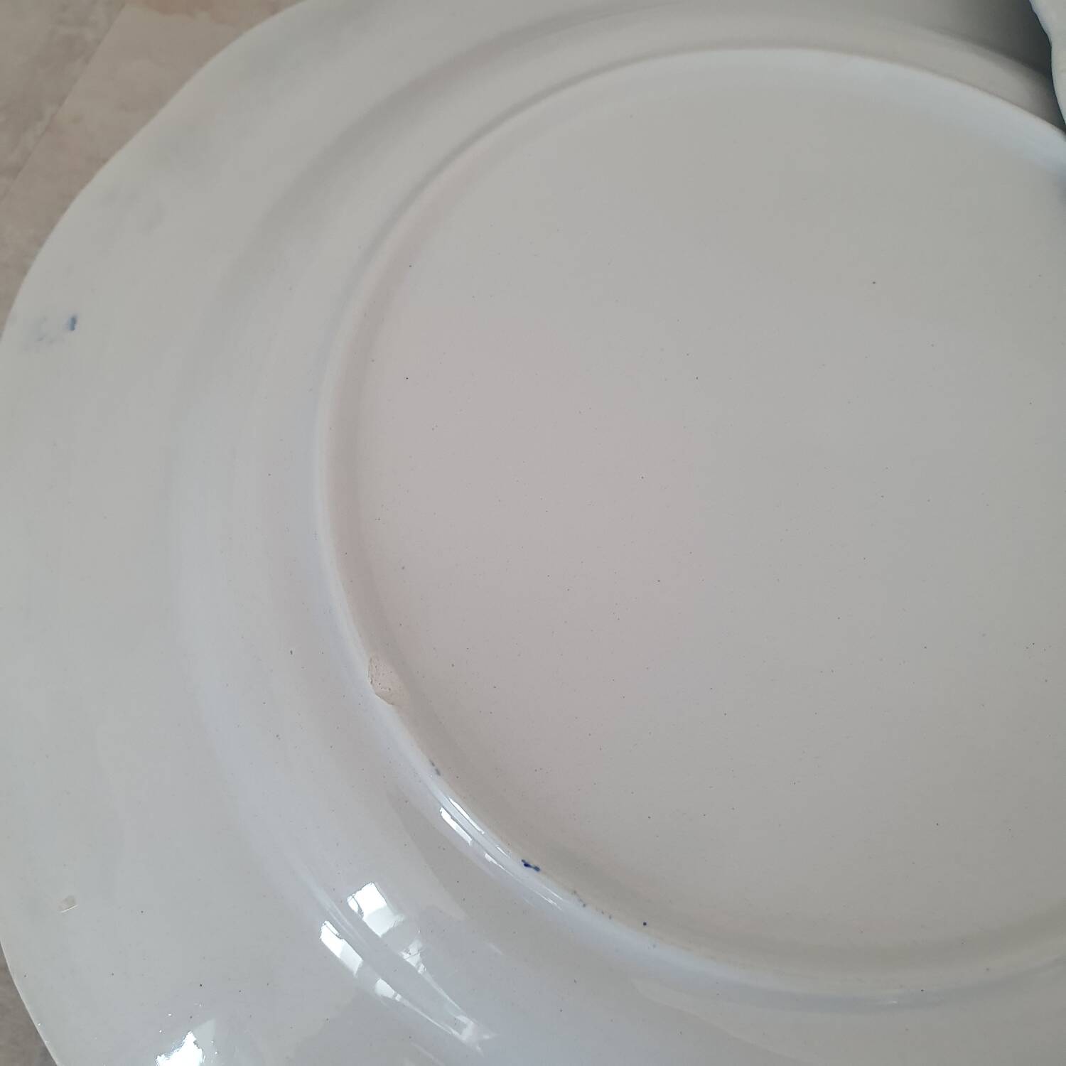 6 earthenware plates with floral and pastoral scene motifs
