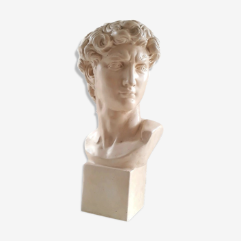 Bust Michaelangelo's David