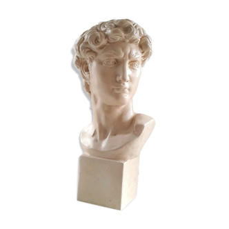 Bust Michaelangelo's David