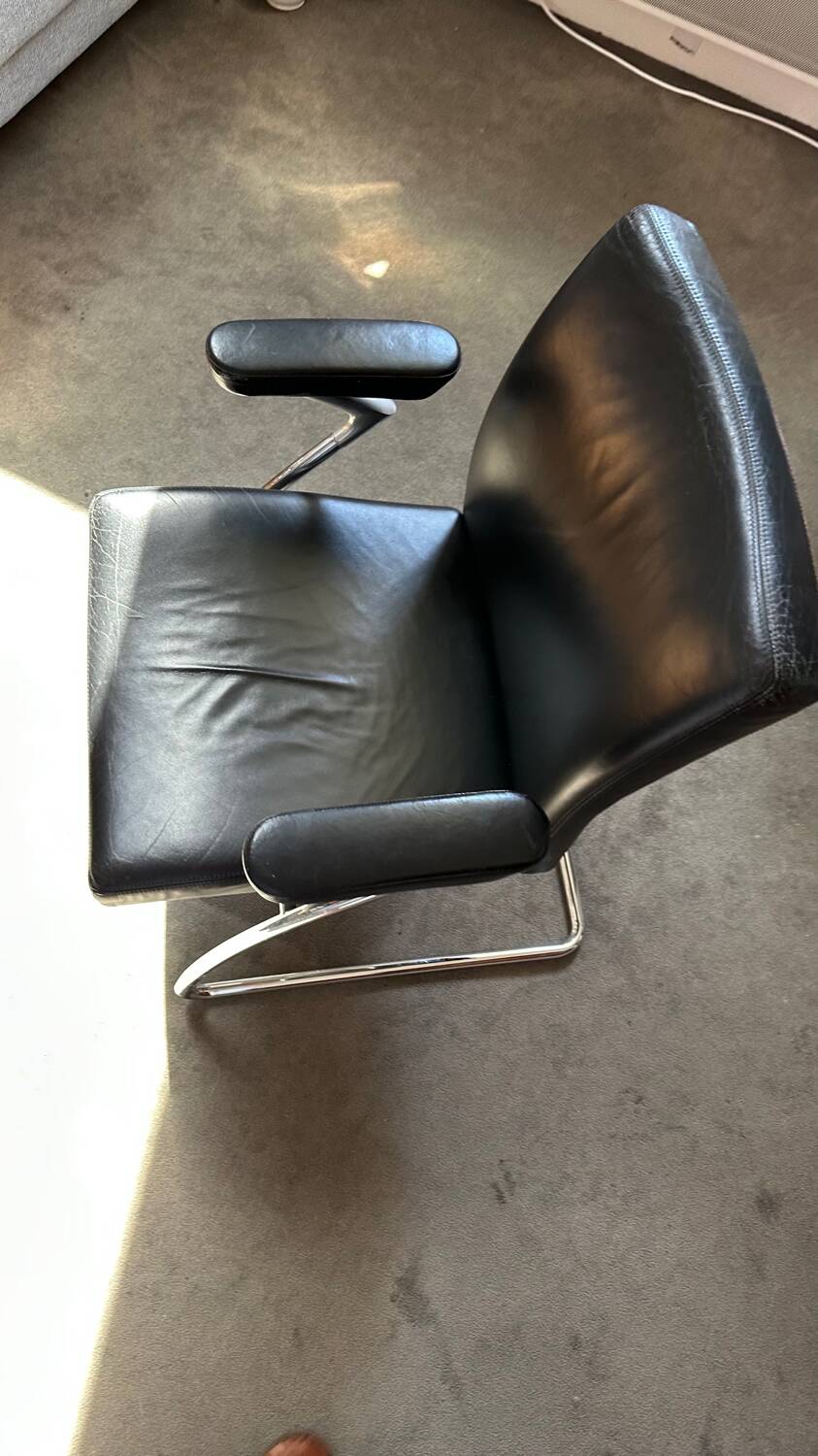 Walter Knoll Dining Chair - armchair / Leather and chrome chair