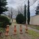 About twenty terracotta balusters from Castelnaudary