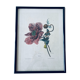 Ancient lithograph framed flower and snail