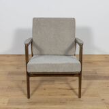 Model 300-139 Armchair from Swarzędz Factory, Poland, 1960s