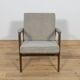 Model 300-139 Armchair from Swarzędz Factory, Poland, 1960s