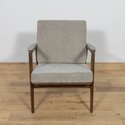 Model 300-139 Armchair from Swarzędz Factory, Poland, 1960s