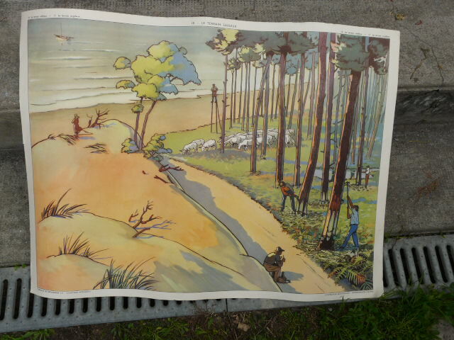 School poster Rossignol collection 50s, N° 17 and 18 the sandy and clayey terrain