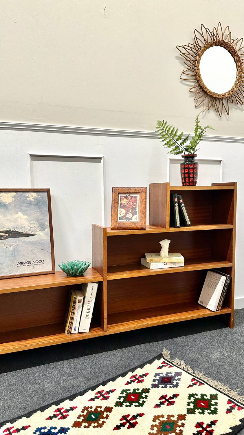 Vintage bookcase / TV cabinet
