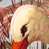 Displays educational Stork 1879