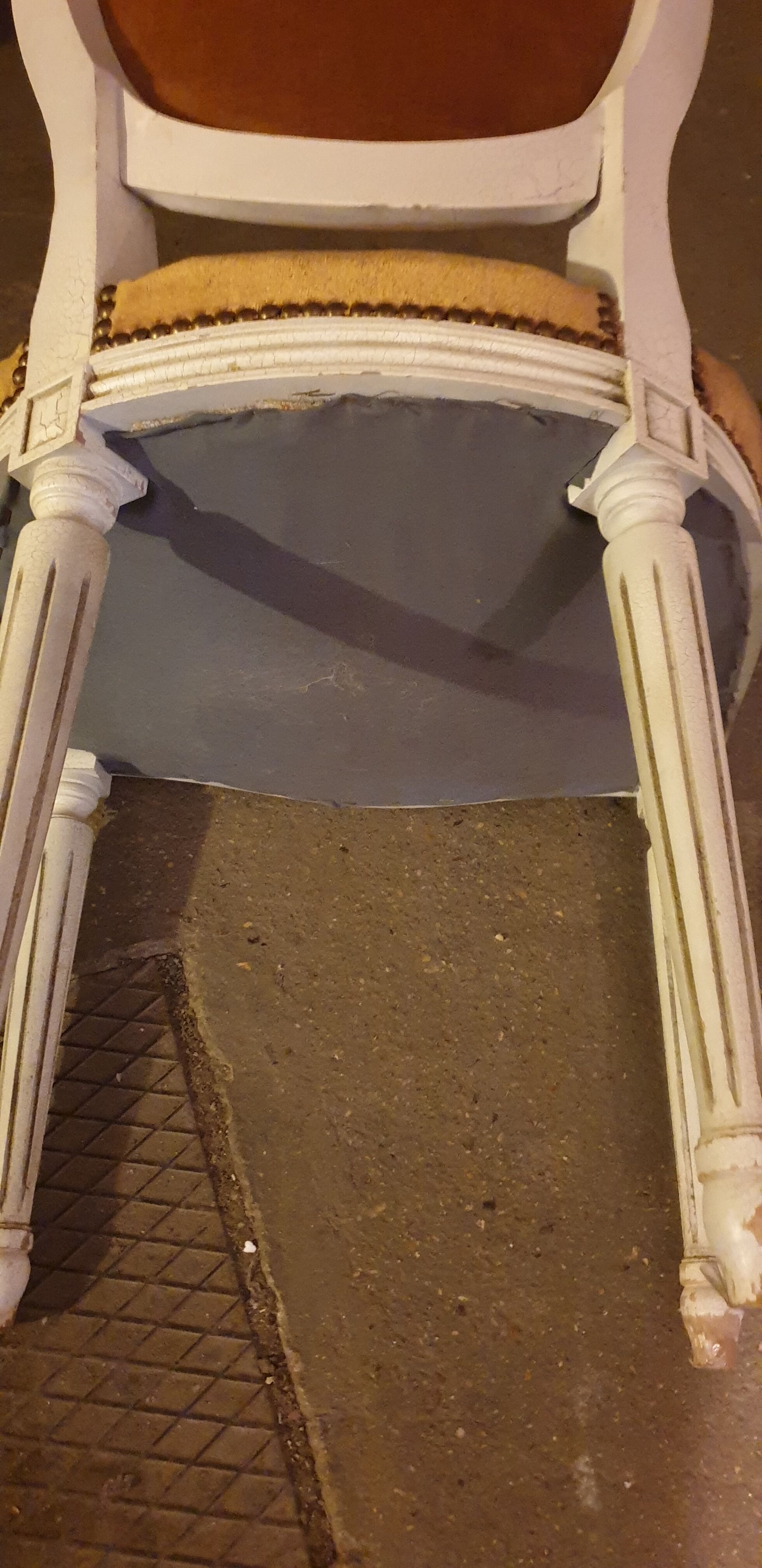 Chairs medallion Louis Louis XVI