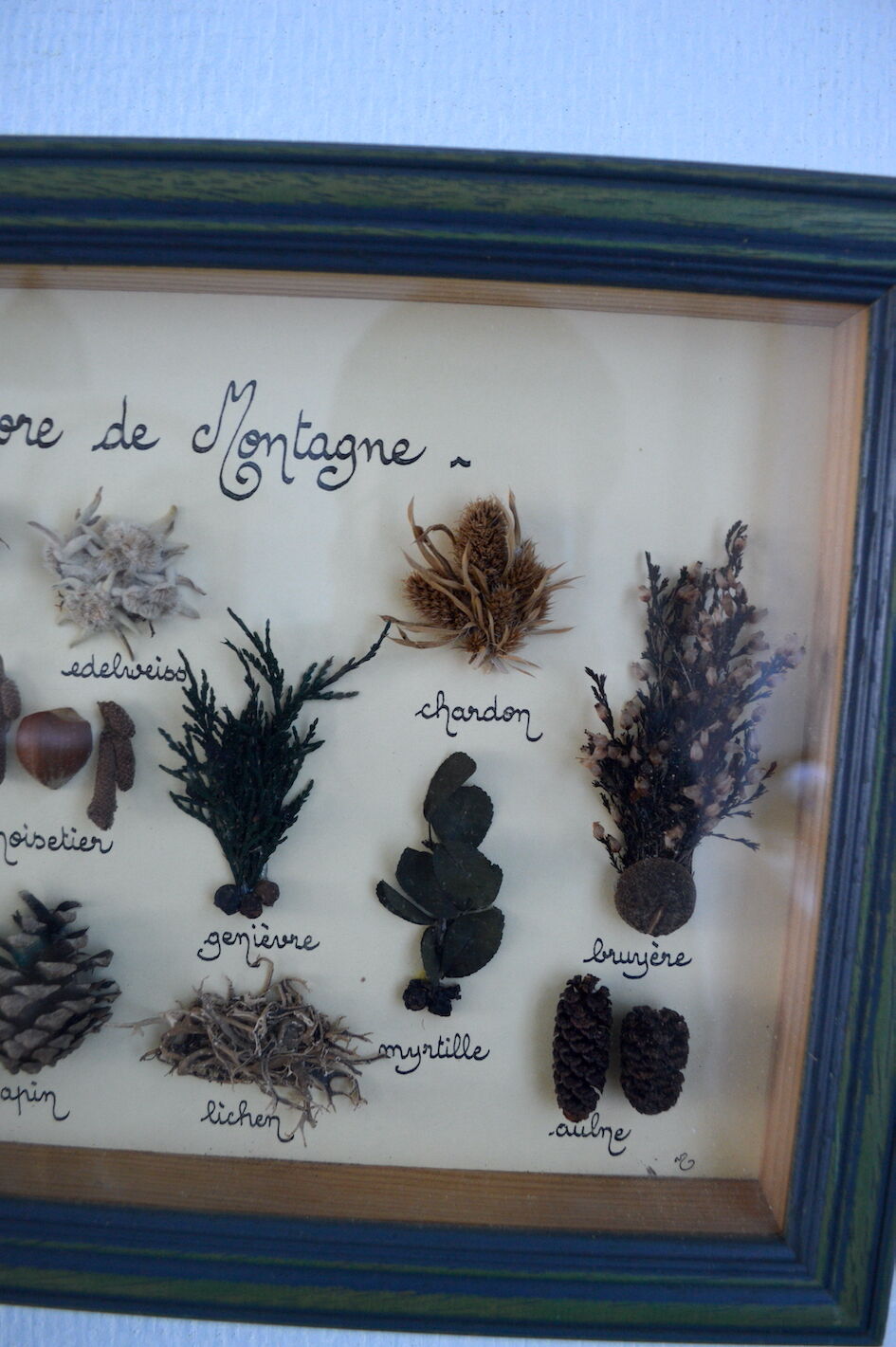 Vintage painting of dried flowers