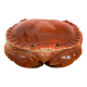 Terrine box "crab" Michel Caugant
